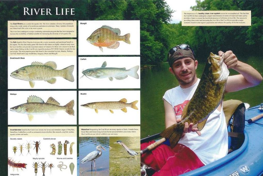 scan riverlife 001e166